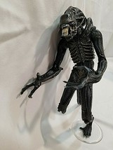 Neca AVP Aliens Figure 9&quot; Xenomorph Warrior LOOSE Missing Lower Leg See Pics - £33.53 GBP