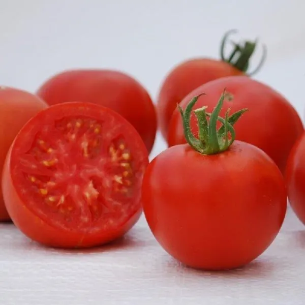 50 Tomato Seeds Manitoba Heirloom Tomato Seeds Garden - £13.68 GBP