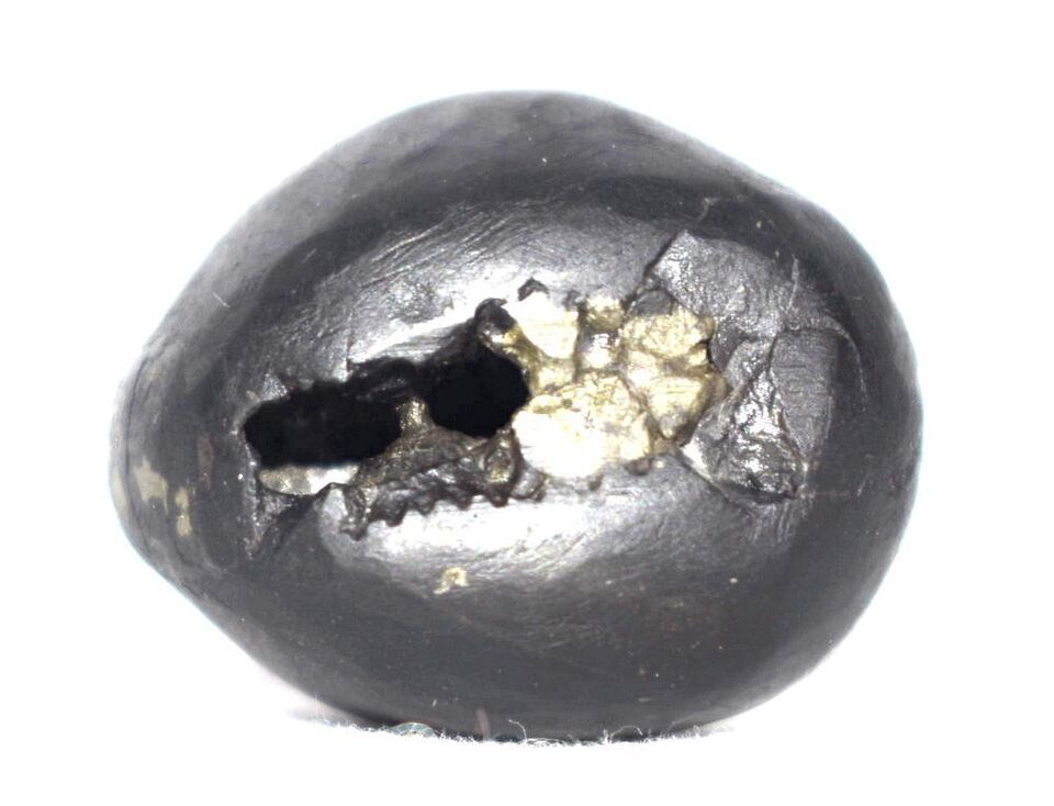 Rare Madan Gopala Shaligram - Gandaki River Nepal - $113.85