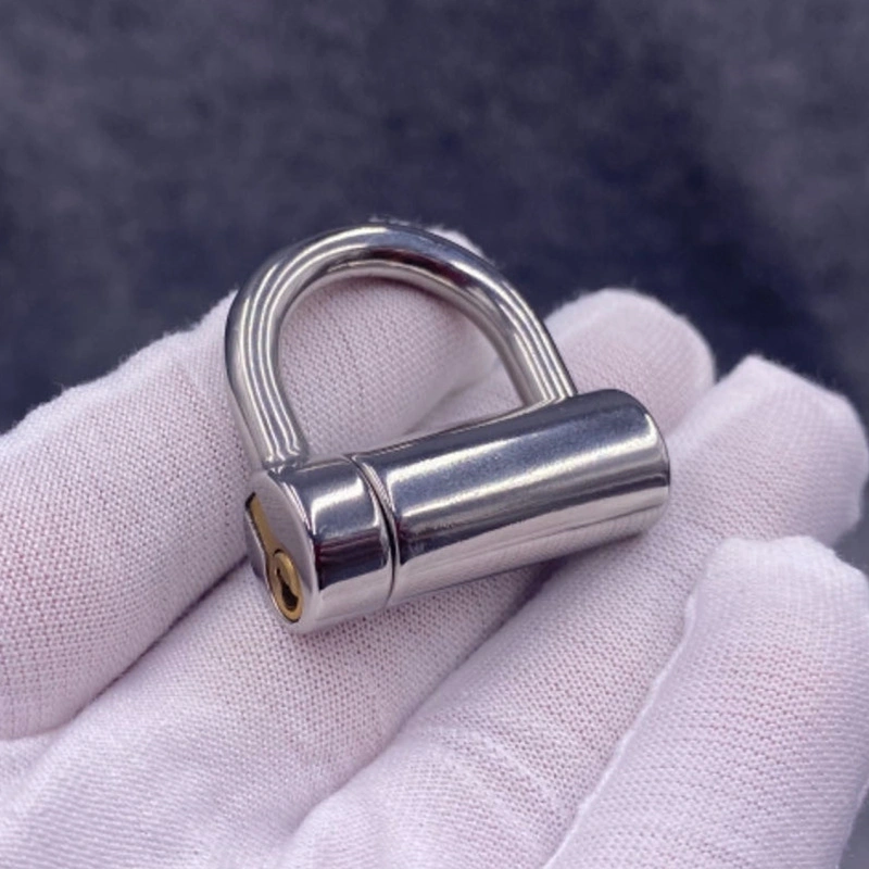 Custom Prince Albert D Ring PA Lock - $70.00+