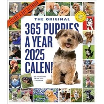 365 Puppies-A-Year Picture-A-Day Wall Calendar 2025 Calendars, Workman - £18.32 GBP