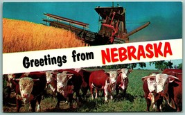 Dual View Banner Greetings From Nebraska NE UNP Chrome Postcard J13 - £3.92 GBP