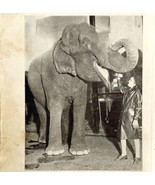 1930 Betty Bell Circus Print Elephant Babe Antique Carnival Ephemera 8 x 5 - $29.99