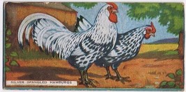 Cowan Co Toronto Card Silver Spangles Hamburgs Chicken Series - $190.96 MXN