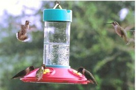 Hummingbird Feeder Original Dr JBs 16 oz. Clean Hummingbird Feeder NEW M... - £23.64 GBP
