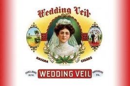 Wedding Veil - Art Print - £17.57 GBP+