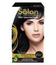 MODICARE SALON PROFESSIONAL HAIR COLOR-NATURAL BLACK 01 - $22.00