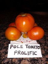 USA Store 30 Seeds Large Red Pole Tomato Heirloom Open Pollinated Nongmo Fast Sh - £6.71 GBP