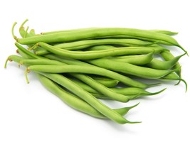 Stringless Landreth Bean Seeds - Organic &amp; Non Gmo - Heirloom Seeds - Fr... - £7.77 GBP