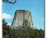 Devil&#39;s Tower Sundance Wyoming WY Chrome Postcard S25 - £3.47 GBP