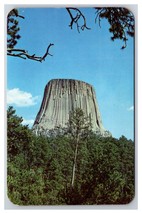 Devil&#39;s Tower Sundance Wyoming WY Chrome Postcard S25 - £3.66 GBP