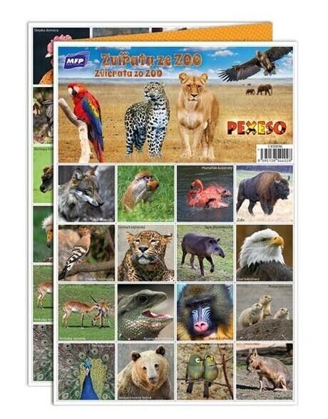 Primary image for Memory Game Pexeso Animals from the ZOO (Find the pair!), European Product