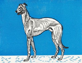 13271.Wall Decor Poster.Room Interior.Moriz Jung painting.Blue Greyhound dog - £12.94 GBP+