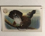 Capercalzee Victorian Trade Card Arm And Hammer VTC 5 - £3.93 GBP