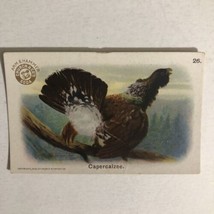 Capercalzee Victorian Trade Card Arm And Hammer VTC 5 - £3.92 GBP