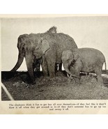 1930 Betty Bell Circus Print Elephant  Antique Carnival Ephemera 8 x 5 - $29.99