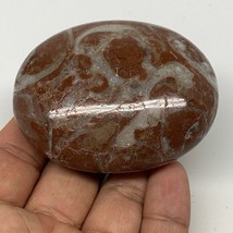 133.9g, 2.6&quot;x2.1&quot;x1.1&quot;, Natural Untreated Red Shell Fossils Oval Palms-t... - $8.00