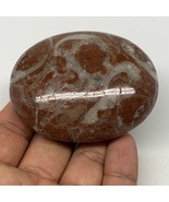 133.9g, 2.6"x2.1"x1.1", Natural Untreated Red Shell Fossils Oval Palms-tone, F12 - £6.38 GBP