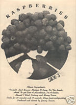 RASPBERRIES POSTER TYPE PROMO AD 1973 - $9.99