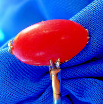 Antique Red Mediterranean Coral Engagement Ring Victorian 18k Gold Solitaire - $3,024.89 CAD