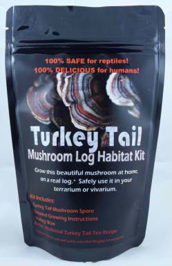 Turkey Tail Mushroom Growing Kit For Terrariums Medicinal Tea Gorws For Years!!