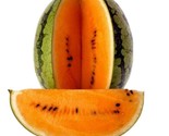Tendersweet Orange Watermelon Seeds 25 Fresh Seeds - £7.22 GBP