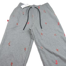 Jordan Essentials Statement Fleece Pants Men&#39;s Size Large Grey NEW DH351... - $54.95