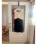Tadashi Shoji LT Beige Black Sleeveless Shutter Pleated Sheath Dress XL ... - $64.92 CAD