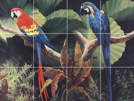 gossips macaw parrot exotic tropical bird jungle ceramic tile mural backsplash - £72.76 GBP+