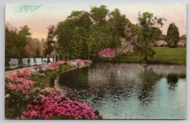 Middleton Place Gardens  Charleston SC South Carolina Hand Colored Postcard P22 - £6.31 GBP