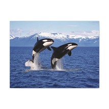 Funny Whale Silly Whale Scene Couple Wall Art Ready to Hang Unframed - £56.28 GBP+