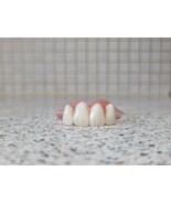 Partial Upper Denture/False Teeth, Dental, Real,  Brand new. - $95.00