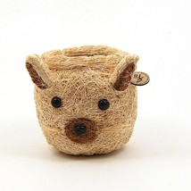 Cat Face Flower Pot Beige Coco Coir Animal Head Succulent Plant Holder - £22.57 GBP