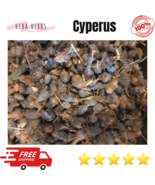 Premium Organic DRIED Cyperus rotundus L عشبة نبات السعد مجفف - $25.80 CAD+