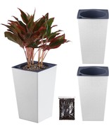 White Self Watering Violet Pots Tall Sq.Are Planter With 3D Wallpaper Pa... - £32.11 GBP