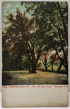 Harrisburg Pa The Old Elm Tree Paxtang Park Postcard E6 - $8.95
