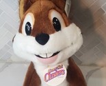 Vintage Honey Nut Clusters Cereal Squirrel Mascot 13&quot; Plush NEW! - $19.75