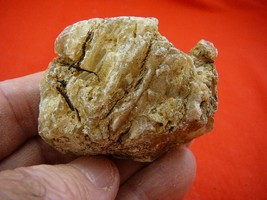 (k-3110) 45 g Rare Kauri tree Gum copal young Amber New Zealand Tane Mahuta - £47.82 GBP