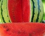 Dixie Queen Watermelon 25 Seeds  Non-Gmo Fresh Garden Seeds - $8.99