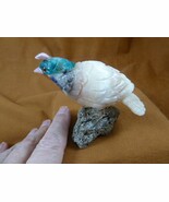 (Y-BIR-QU-51) Quail green blue white bird gemstone STONE figurine Peru q... - $765.07 MXN