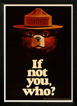 Smokey Bear Fires Dept of Interior Retro poster Custom Framed A+ Quality - £35.88 GBP