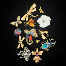 Lot of vintage enamel and rhinestone brooches, Floral, Beetles, butterfl... - £120.19 GBP