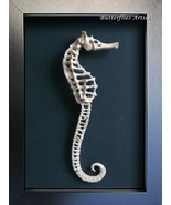Hippocampus Erectus Realistic Replica Seahorse Framed Marine Decorative ... - $177.44 CAD