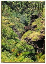 JFK Profile Hiding in Iao Valley Maui Hawaii Postcard Can You Find it 4 x 6 - £5.49 GBP