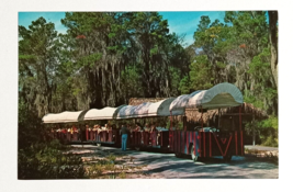 Weeki Wachee Wagon Train Mermaids Florida Attraction Koppel Cards Postcard 1960s - £7.85 GBP