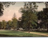 View of Campus University Of Illinois Chapaign IL UNP Albertype Postcard Y2 - $14.80