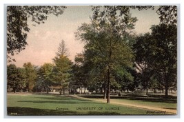 View of Campus University Of Illinois Chapaign IL UNP Albertype Postcard Y2 - £11.72 GBP
