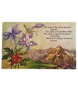 Good Luck Swastika Denver Colorado Blue Buttercup Flower Postcard Antiqu... - £22.38 GBP