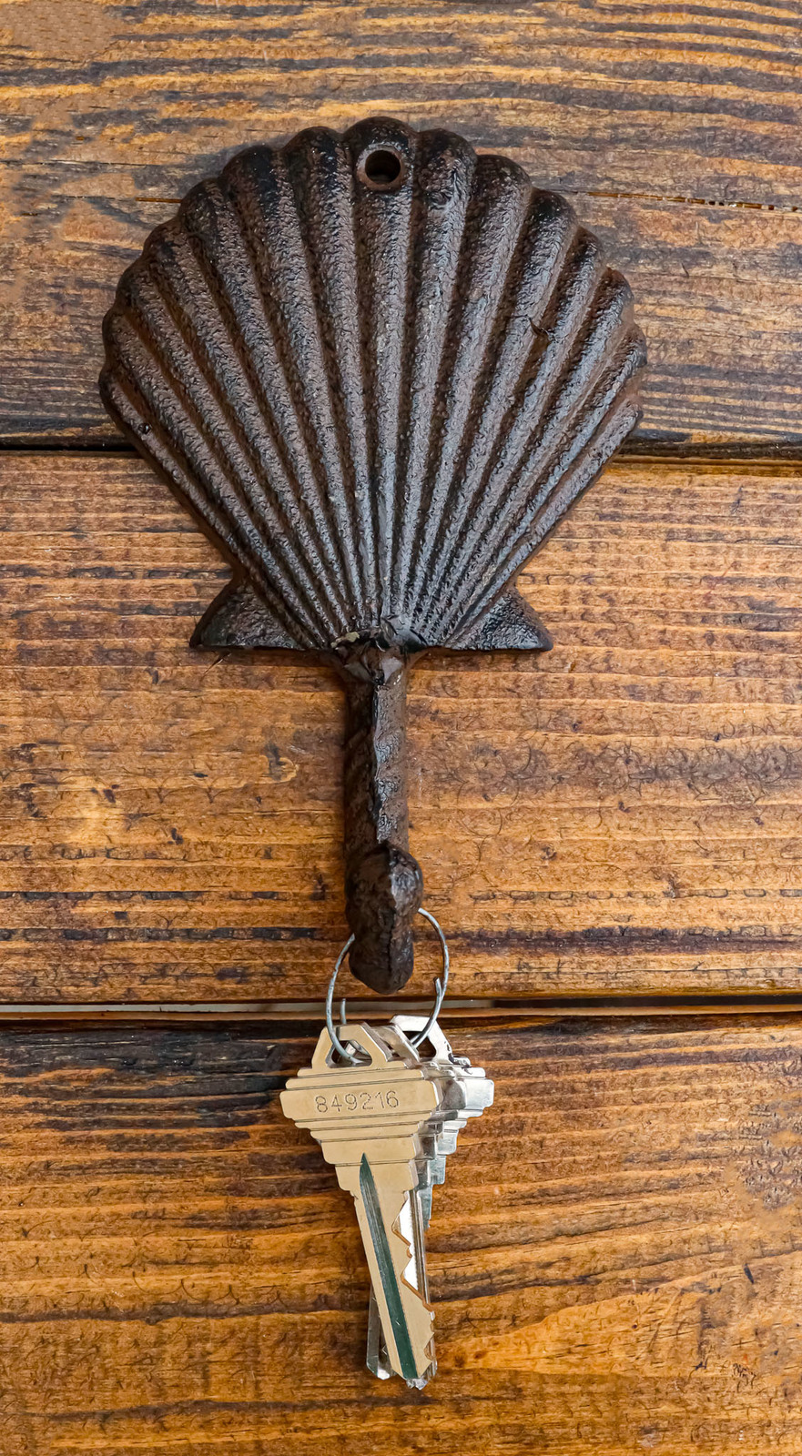 Pack Of Two Coastal Marine Rustic Ocean Sand Dollar Single Wall Coat Hook Hanger