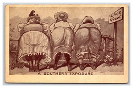 Comic Big Butts Southern Exposure A Fine View 1910 DB Postcard R23 - $7.87